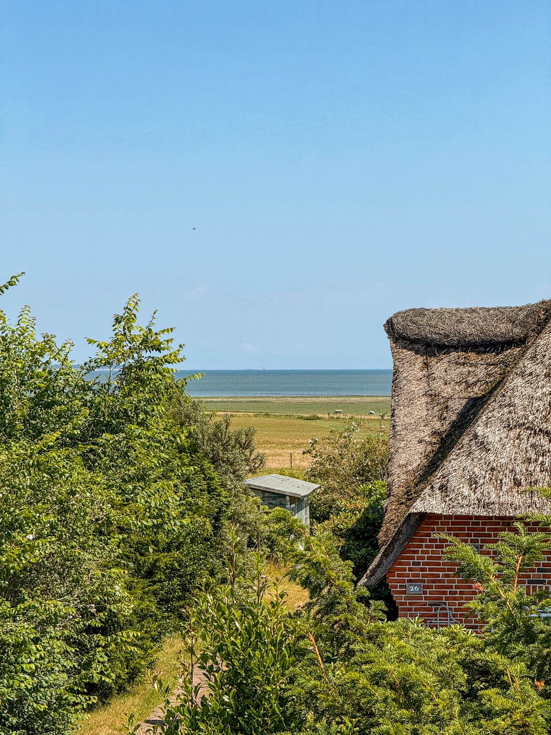 Antje Sammen Whg. 62 Amrum - 