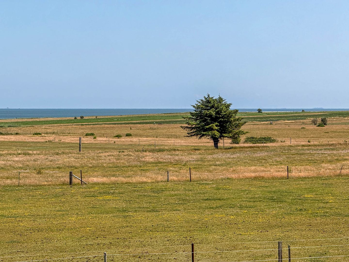 Witjhüs Whg. 5E Amrum - Meerblick