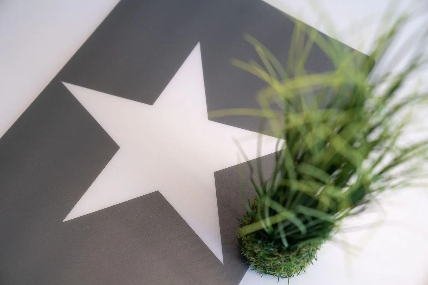 Appartement Liegeplatz Appartement Liegeplatz SPO Bad - 