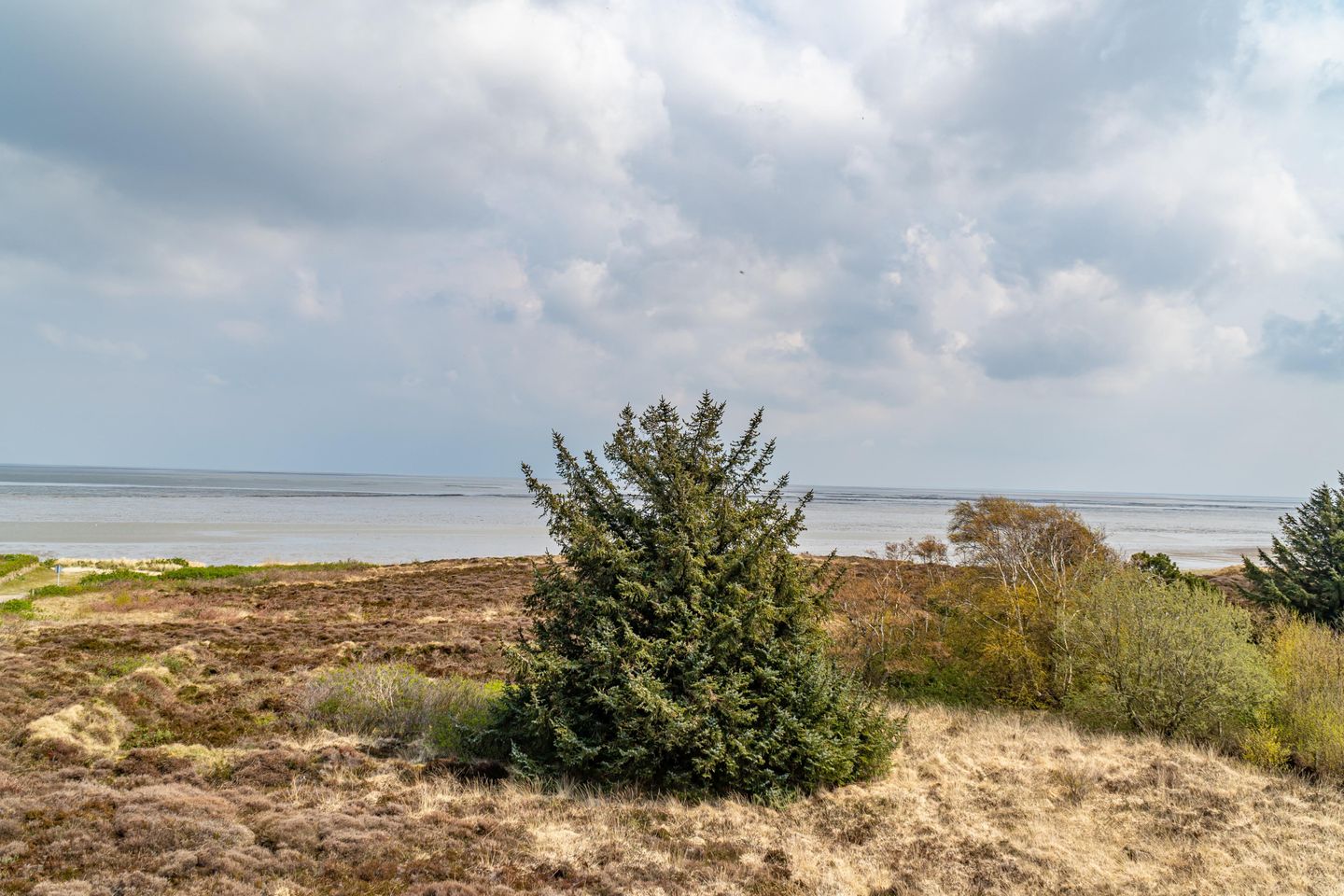  Hüs Wattblick Munkmarsch Hüs Wattblick - Landschaft
