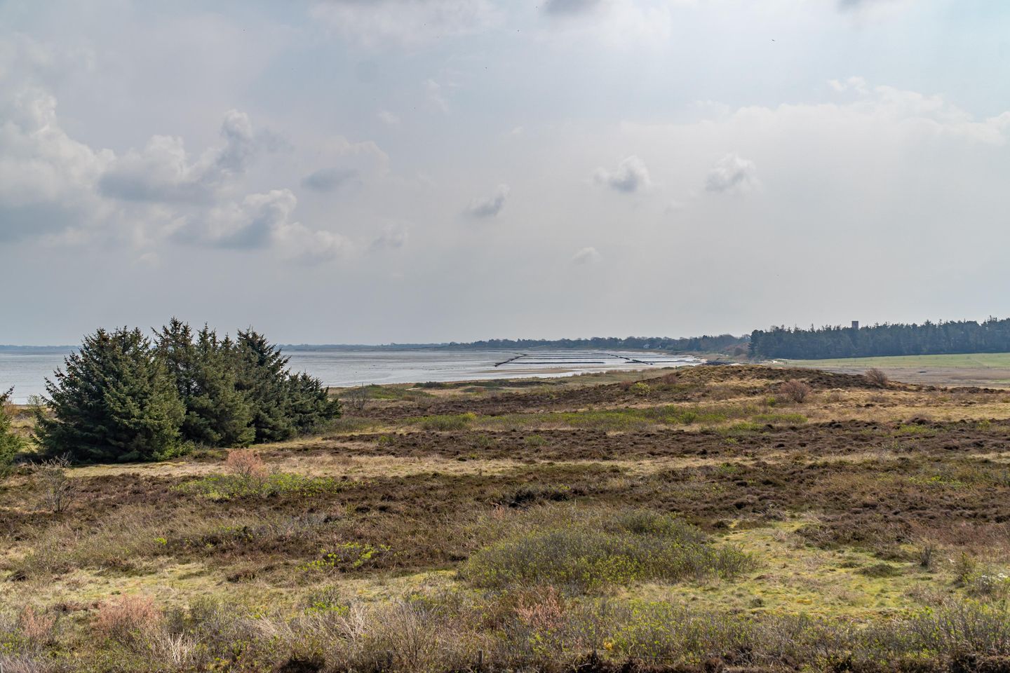  Hüs Wattblick Munkmarsch Hüs Wattblick - Landschaft
