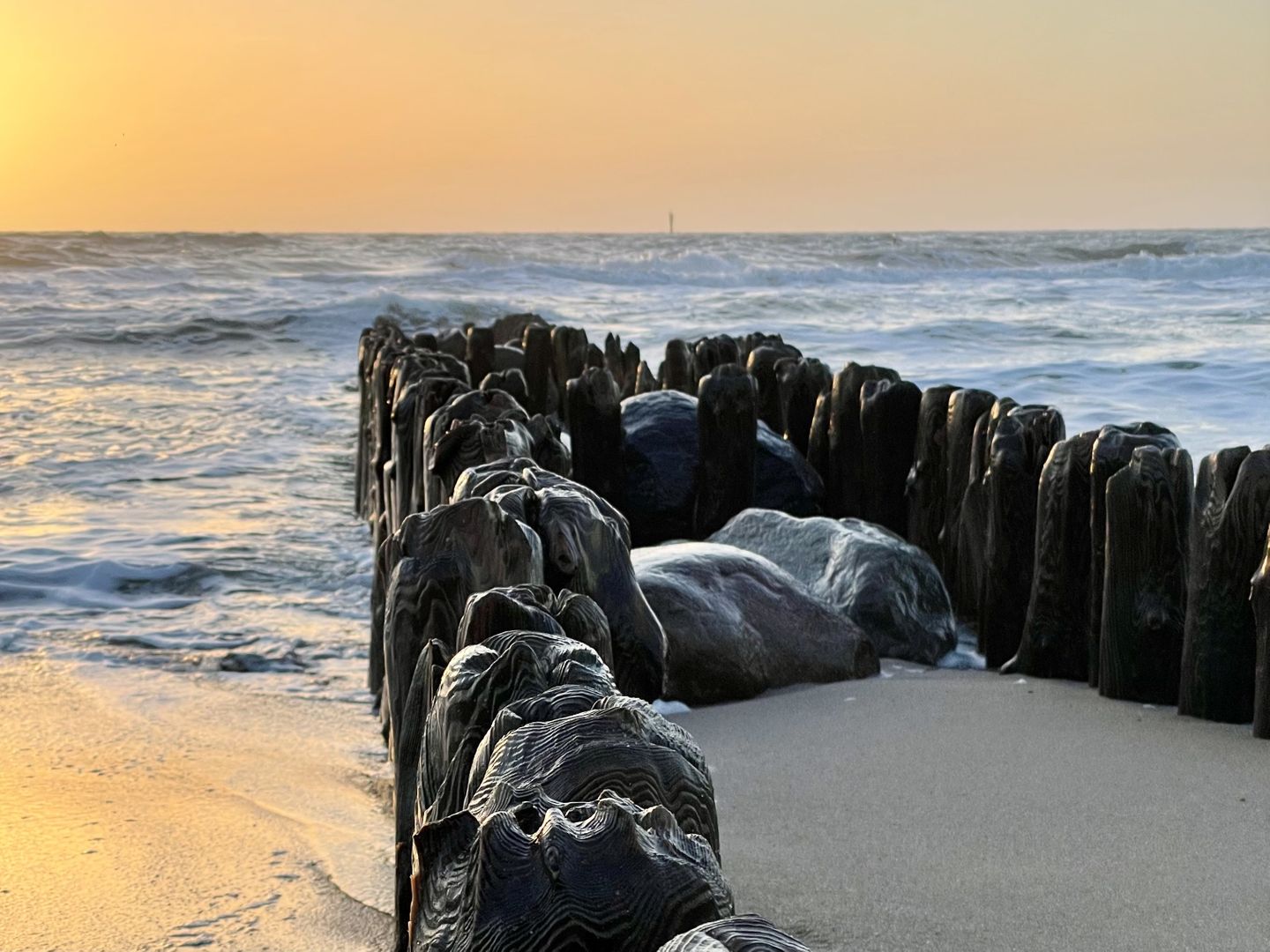  Seestern Wenningstedt Seestern - Strand