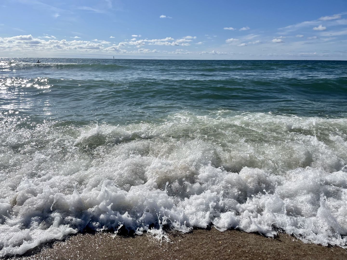  Seestern Wenningstedt Seestern - Strand