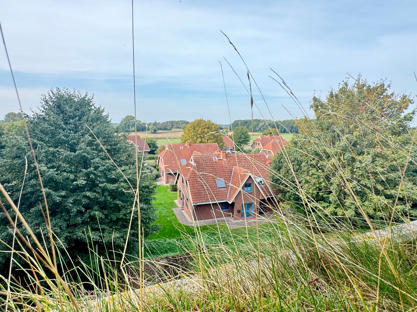  Berolina 330 - Ostseekrabbe Dahme - Gartenblick