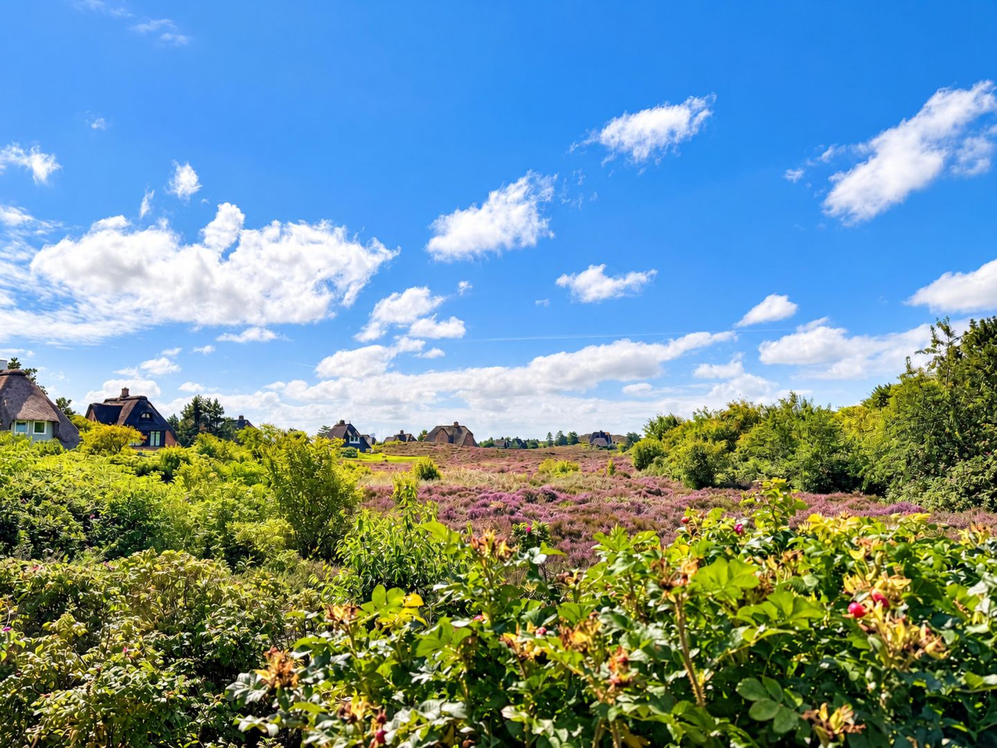  Haus Westerheide List Haus Westerheide - Gartenblick