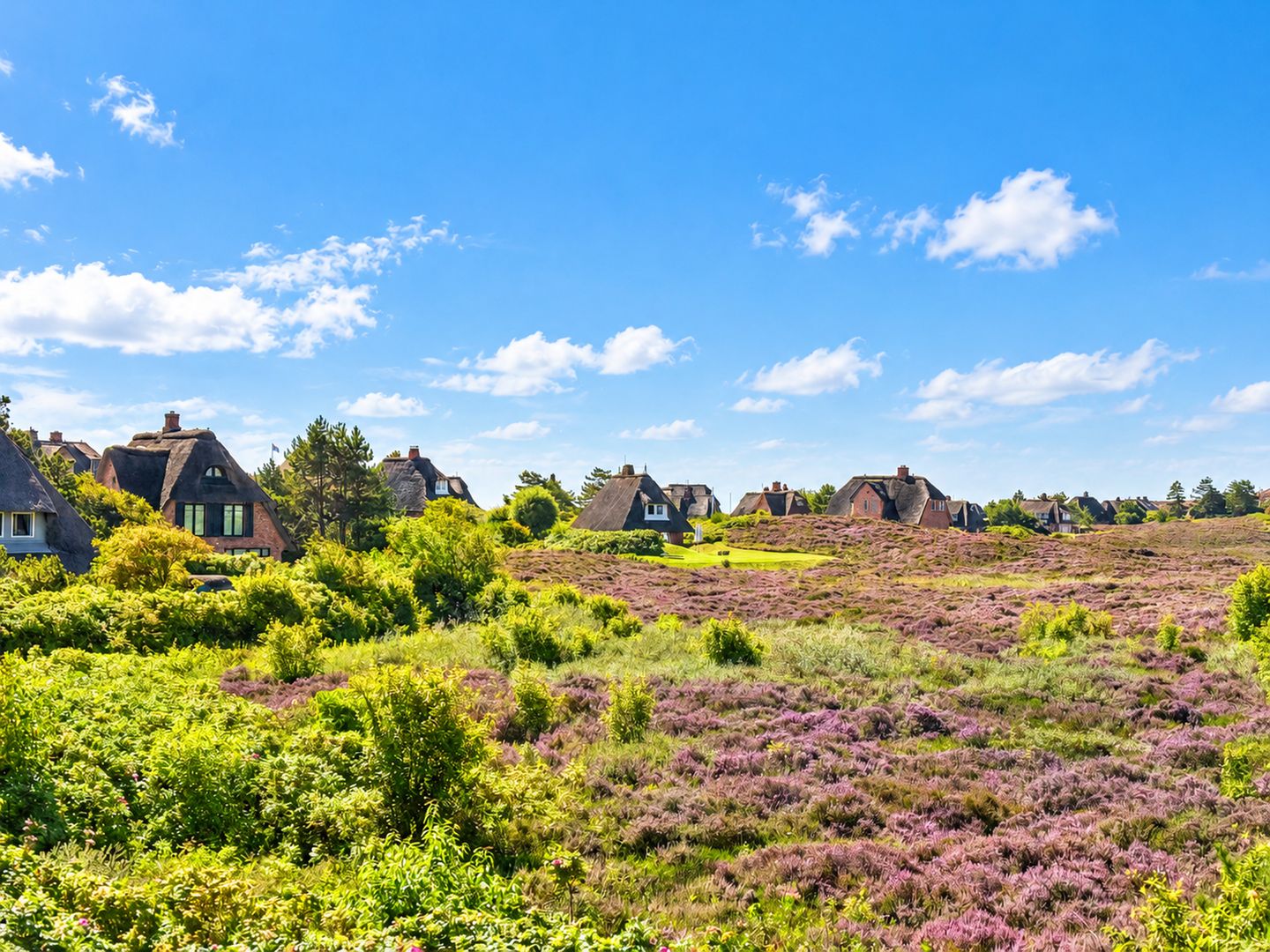  Haus Westerheide List Haus Westerheide - 