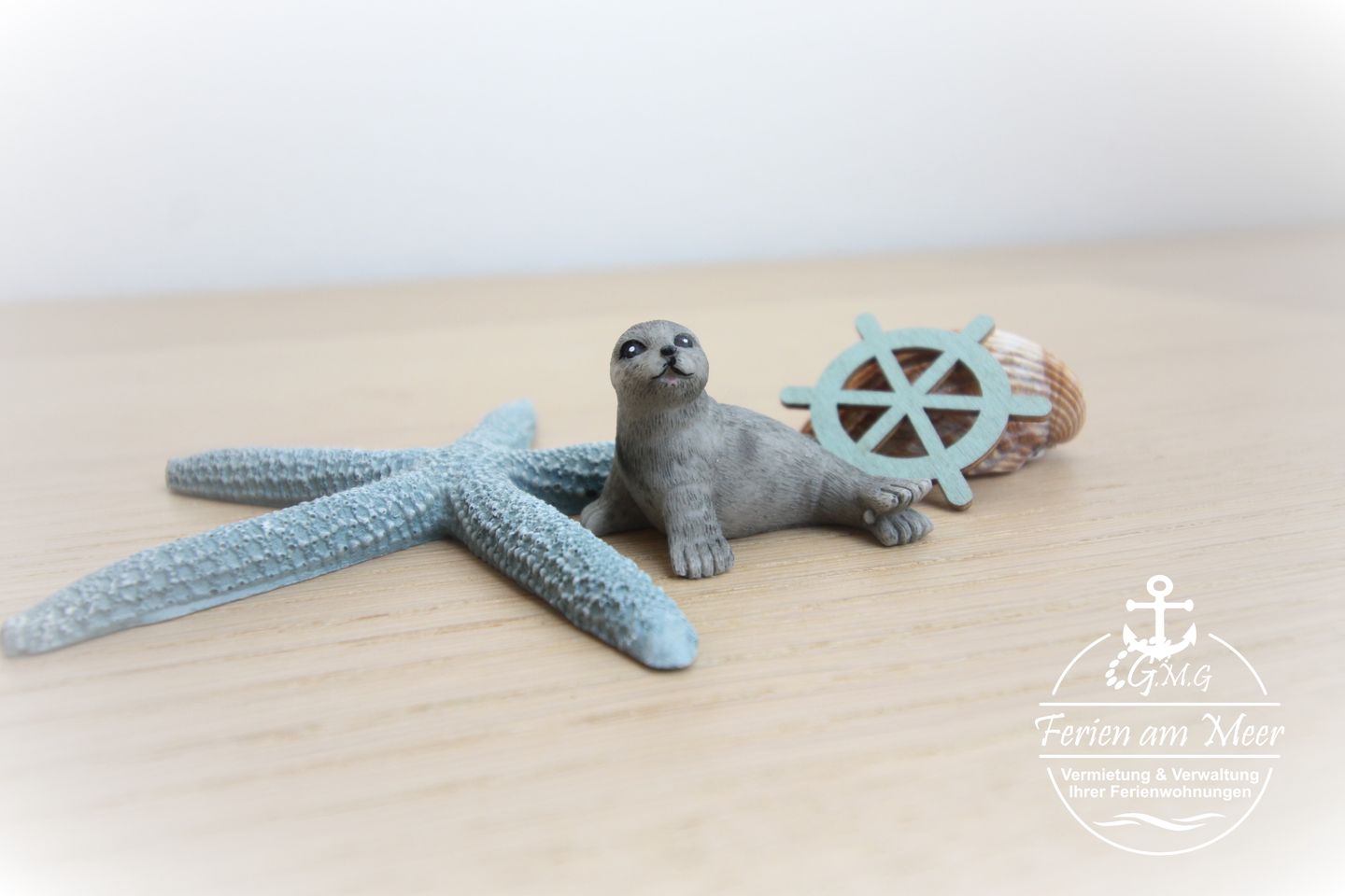  Chillmöwe Norddeich - 