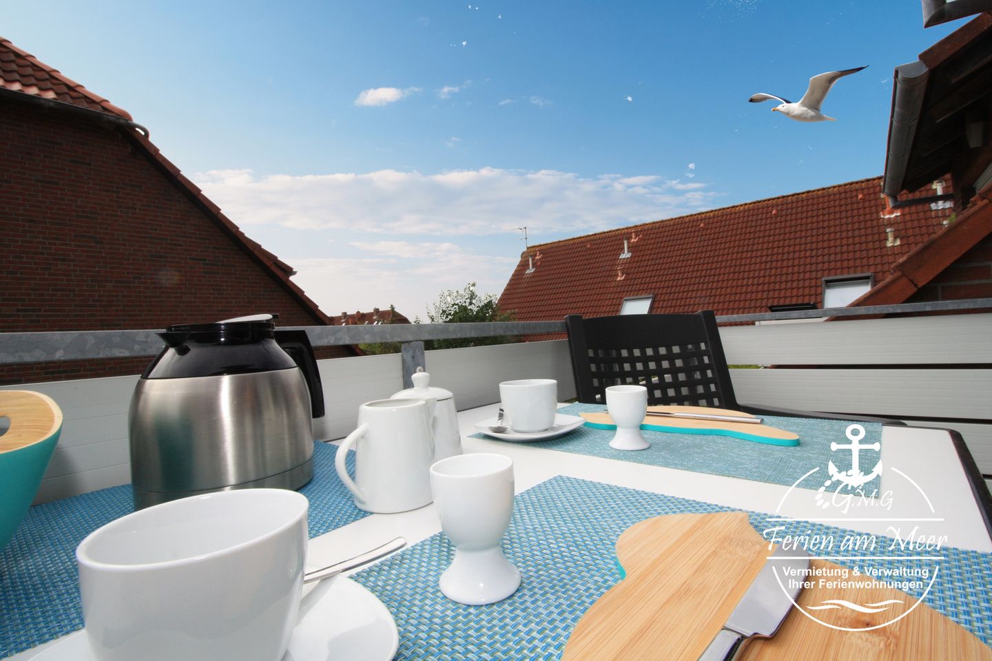  Chillmöwe Norddeich - 