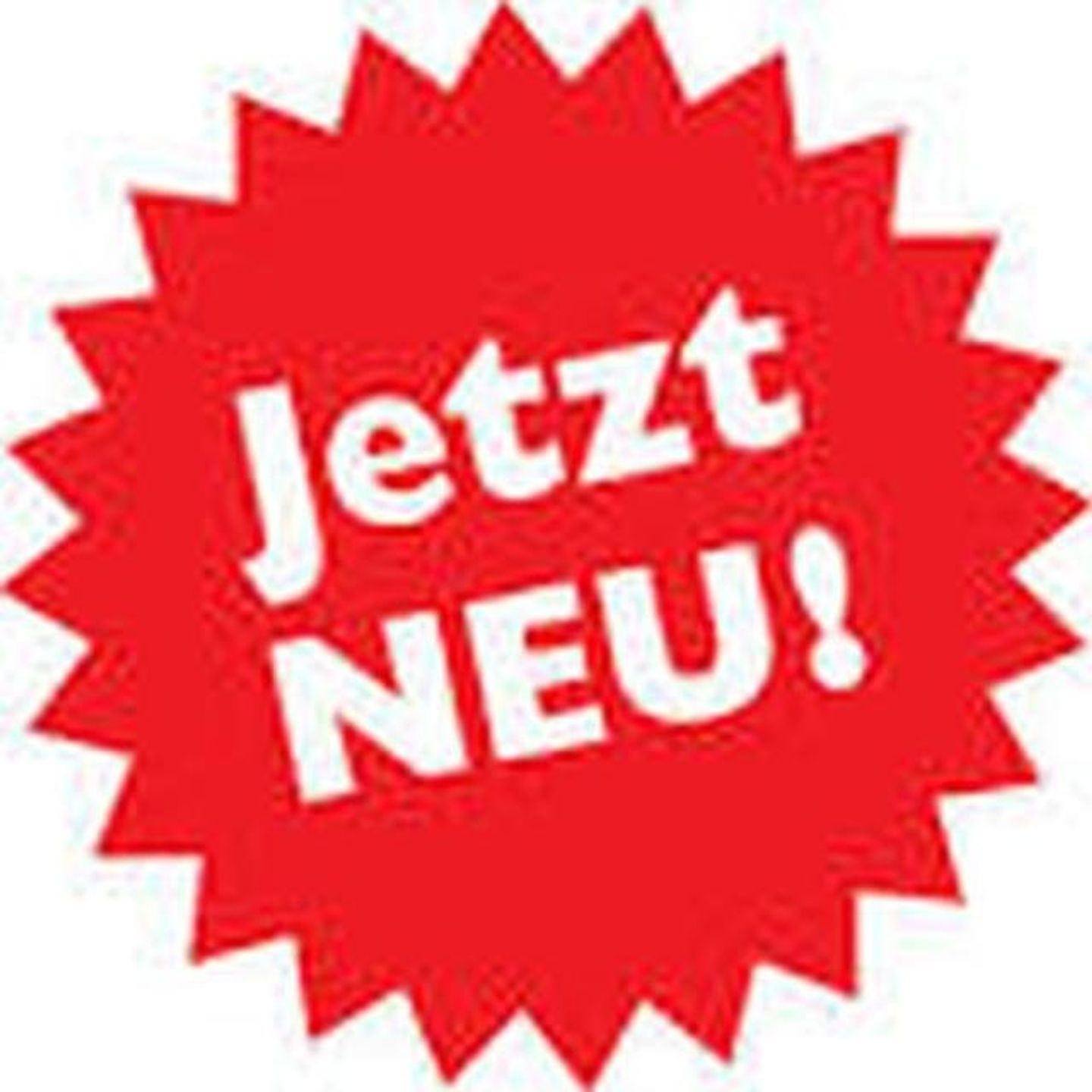 Blaue Stranddistel Teegelii Hof Tinnum - 