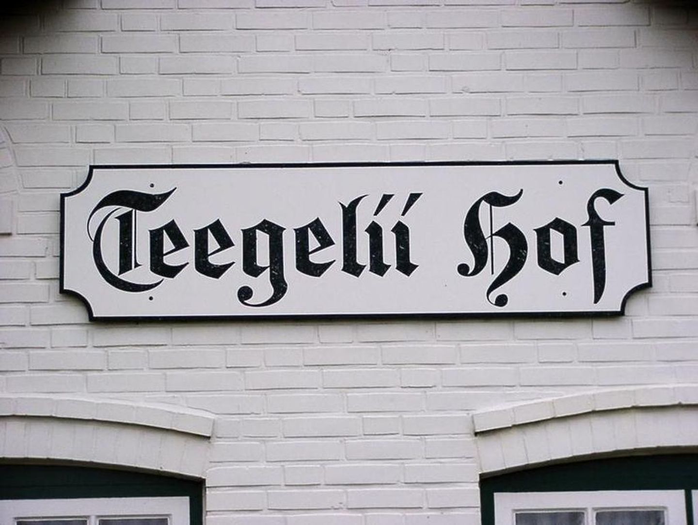 Blaue Stranddistel Teegelii Hof Tinnum - 