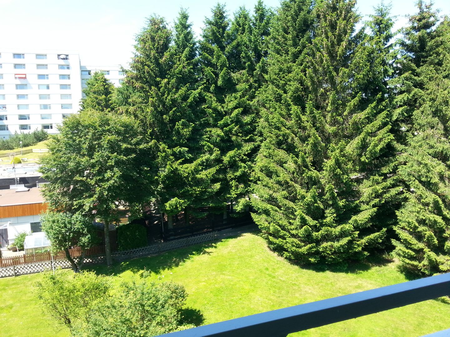 Ferienpark Hahnenklee Apartment "Abendsonne" Hahnenklee - Landschaft