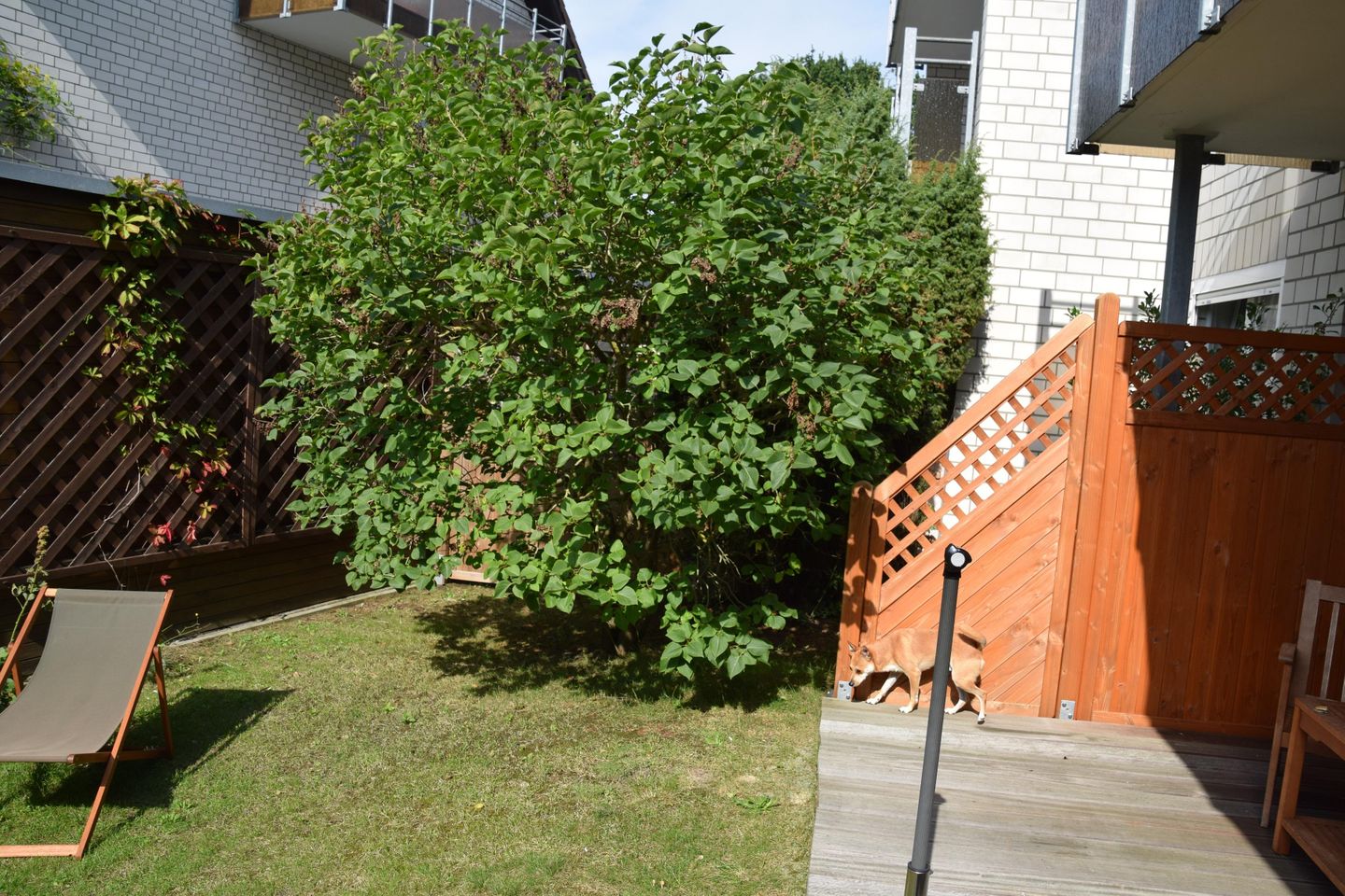  Birkenstrasse 21c Whg. 19 "Strandtraum" Deutschland - 