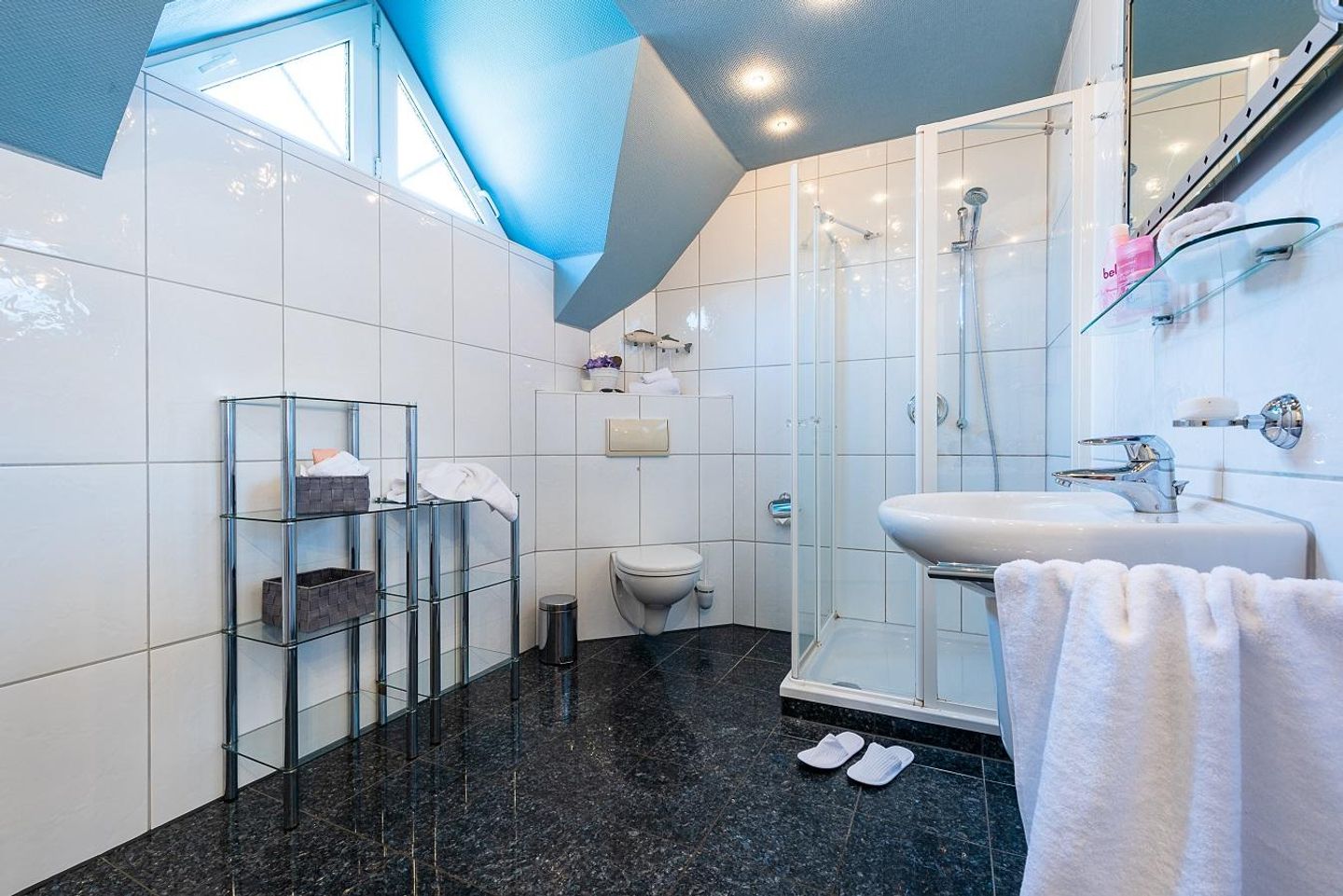  Gartenweg 7 Whg. 2/3 (oben links) Fischland-Darss-Zingst - Badezimmer