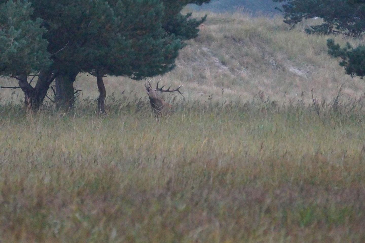  Lindenstrasse 32 Whg. 4 Deutschland - 