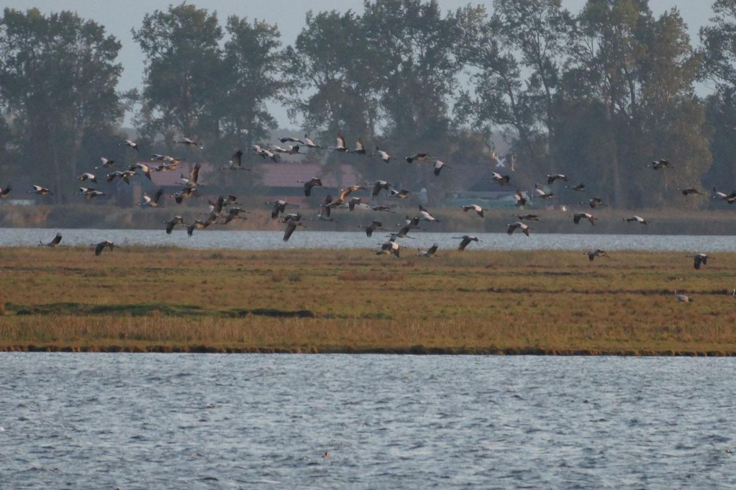  Lindenstrasse 32 Whg. 4 Deutschland - 