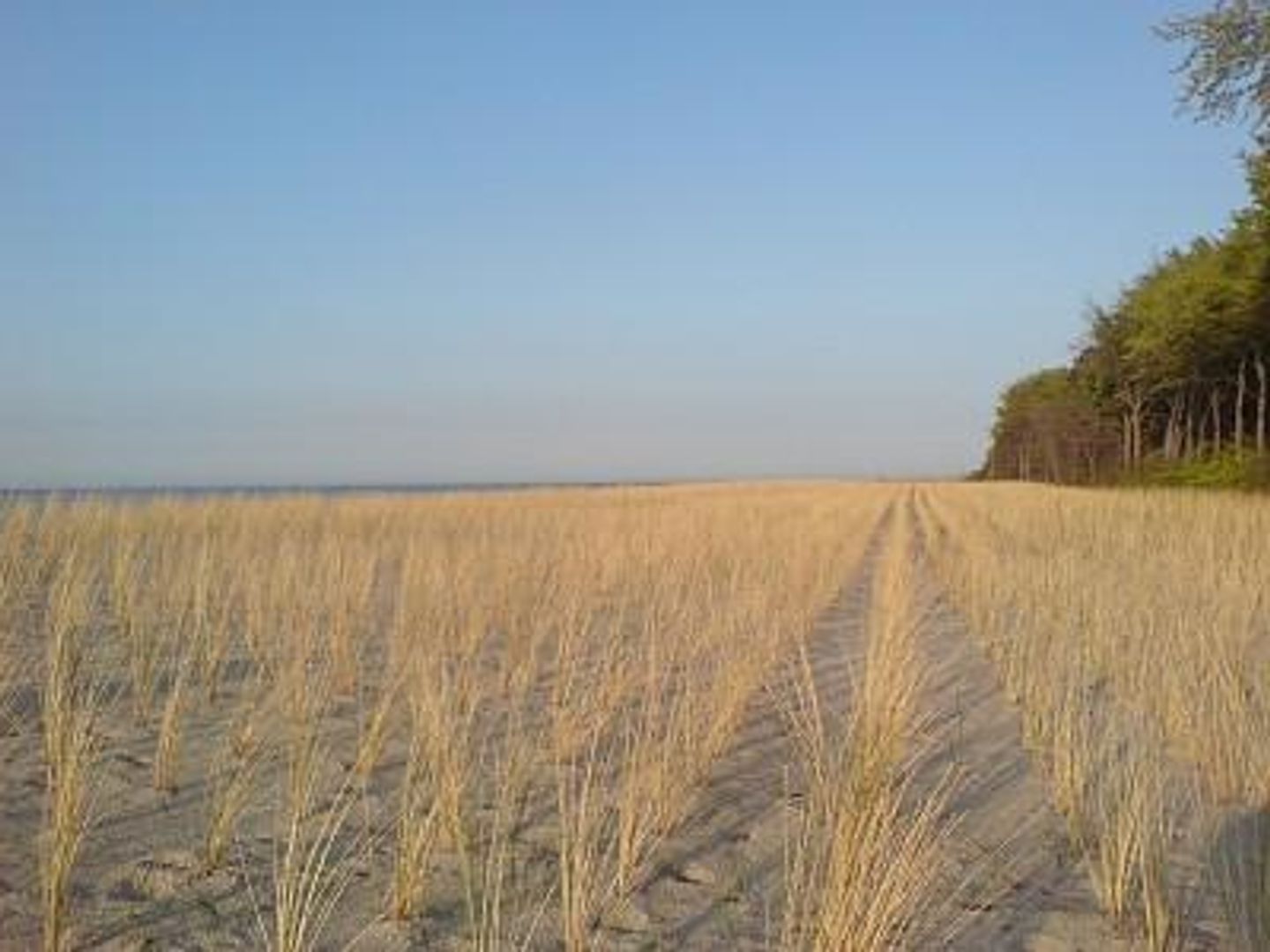  Glebbe 66 Whg. 3 "Hus Sünnschien" Deutschland - 