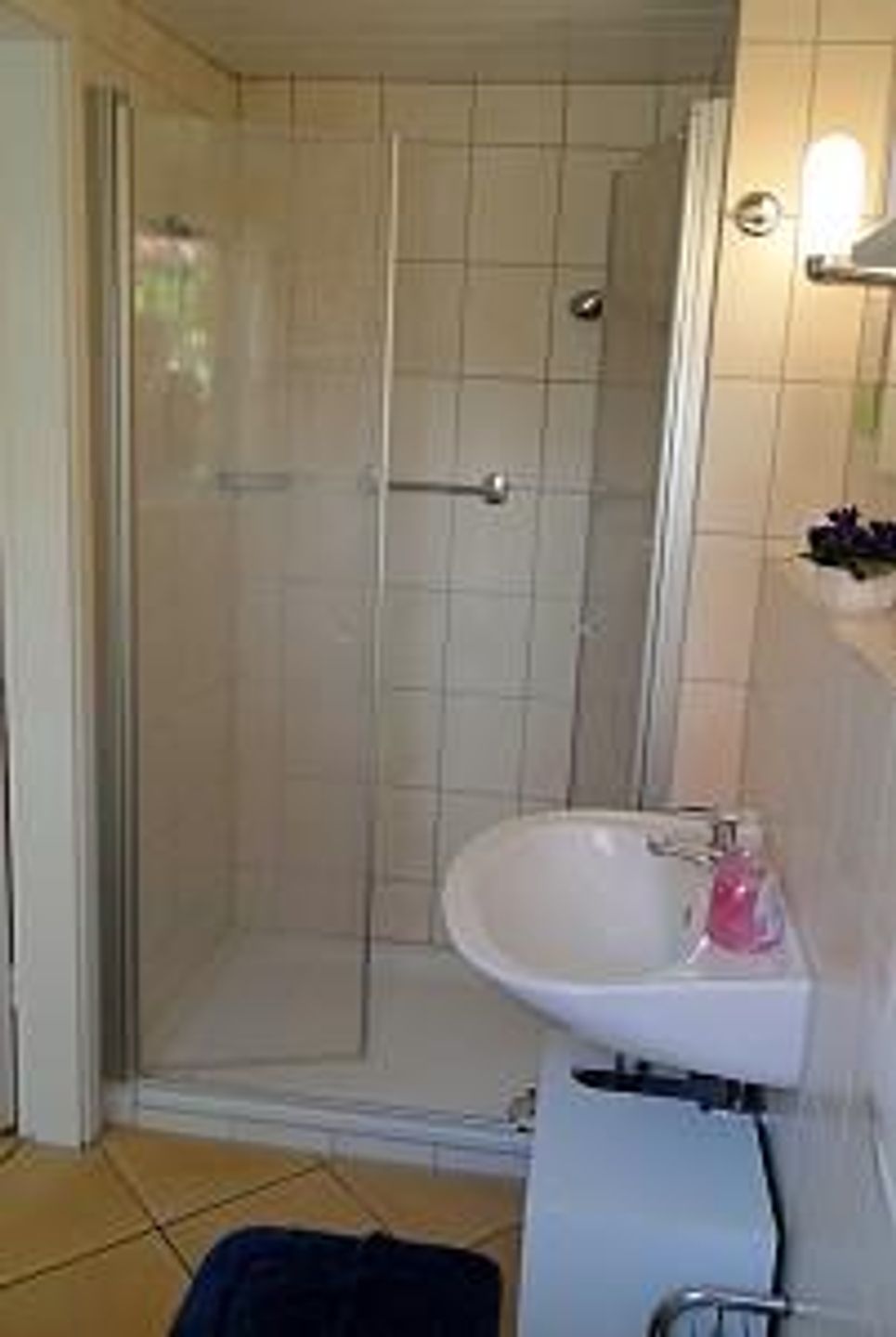  Hägerende "Alte Liebe" zfw/107 Deutschland - 