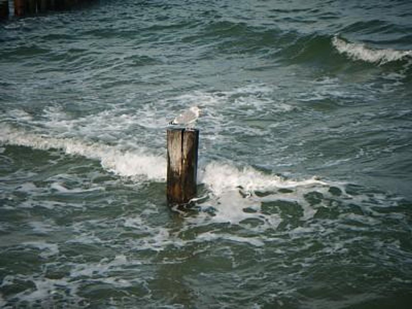  An der Feuerwache 1 Whg. 2 "Lütt Matten" Deutschland - 