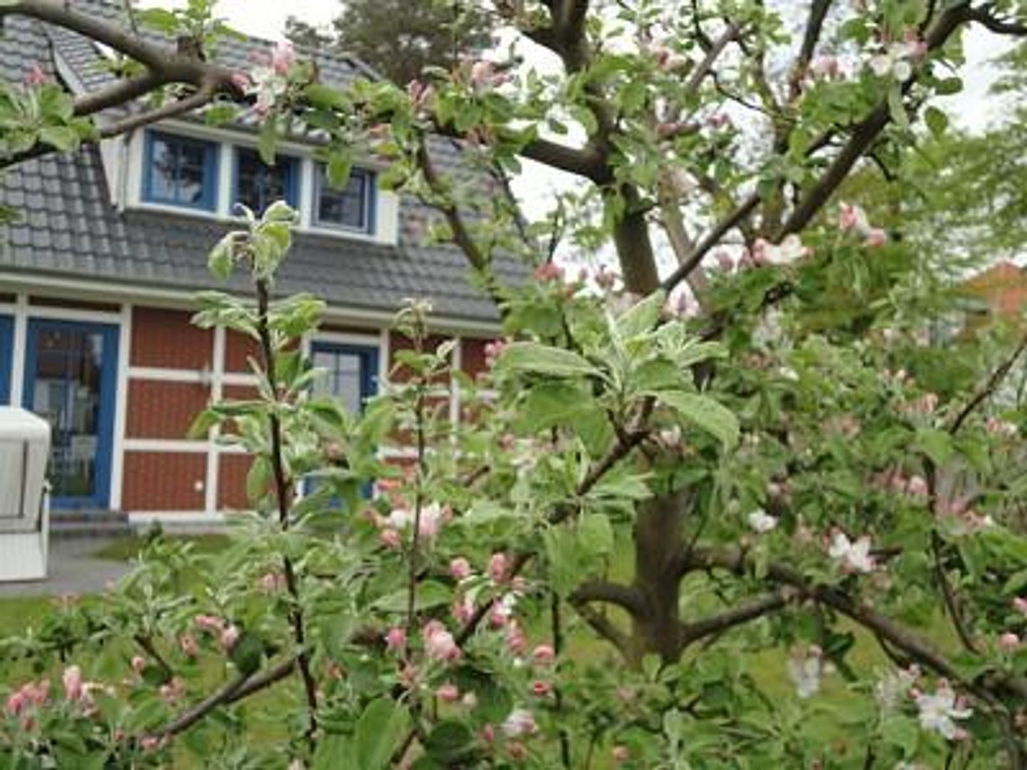  An der Feuerwache 1 Whg. 2 "Lütt Matten" Deutschland - 