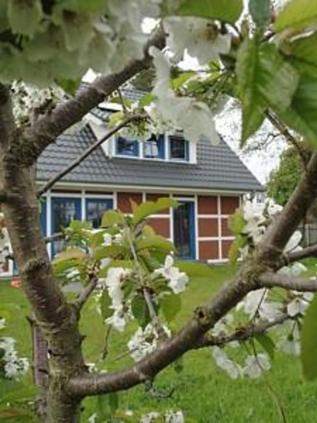  An der Feuerwache 1 Whg. 2 "Lütt Matten" Deutschland - 