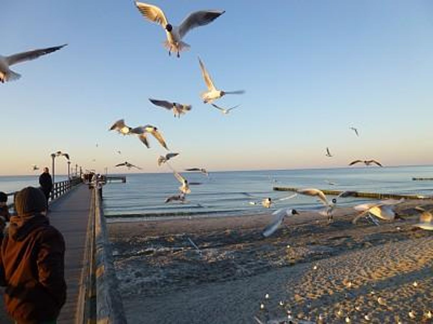  Hafenstrasse 28 Whg. 3 Deutschland - 