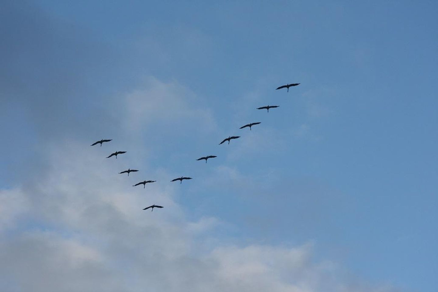  Glebbe 66 Whg. 3 "Hus Sünnschien" Deutschland - 