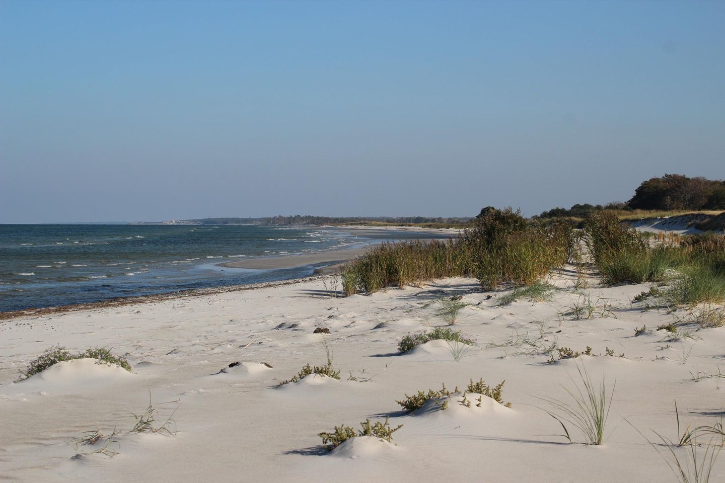  Jordanstrasse 35 Whg. 1 Deutschland - 