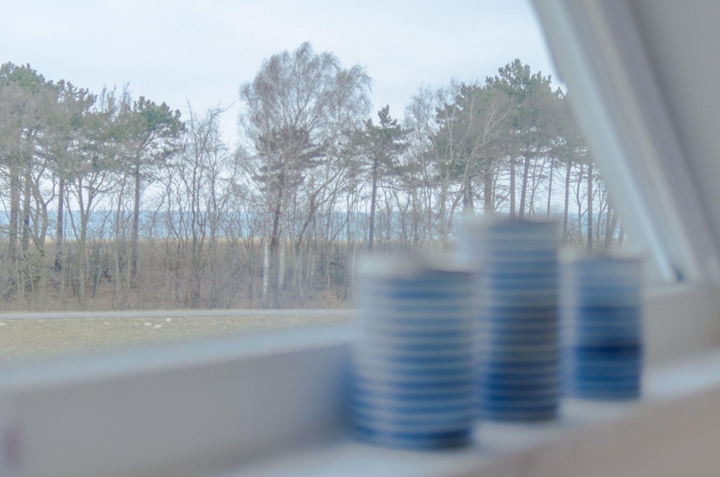  Haus Kranichsruh "StrandGut" Whg 2.3 Deutschland - 