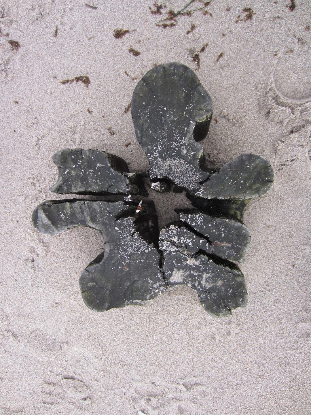  Strandstrasse 51 Whg.12 Deutschland - 