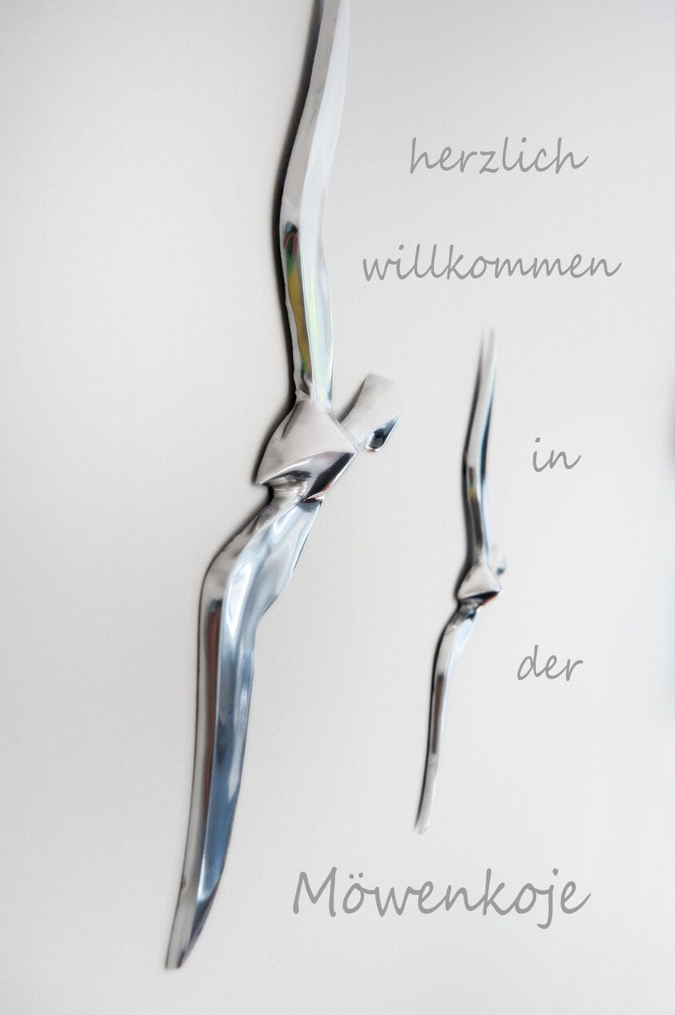  Haus Kranichsruh "Möwenkoje" Whg 2.1 Mecklenburg-Vorpommern - 