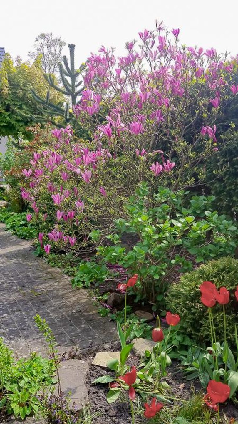  Birkmaase 3 "Muschelblau" OG Deutschland - 