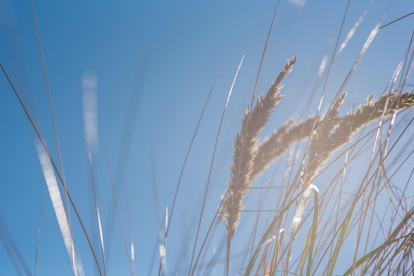  Lindenstrasse 13 Whg. 6 "von Witte" Deutschland - 