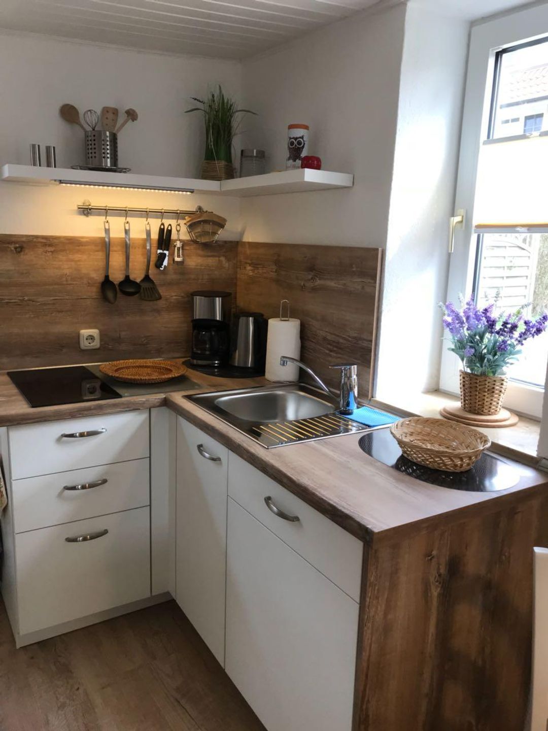  Hägerende "Alte Liebe" zfw/107 Deutschland - 