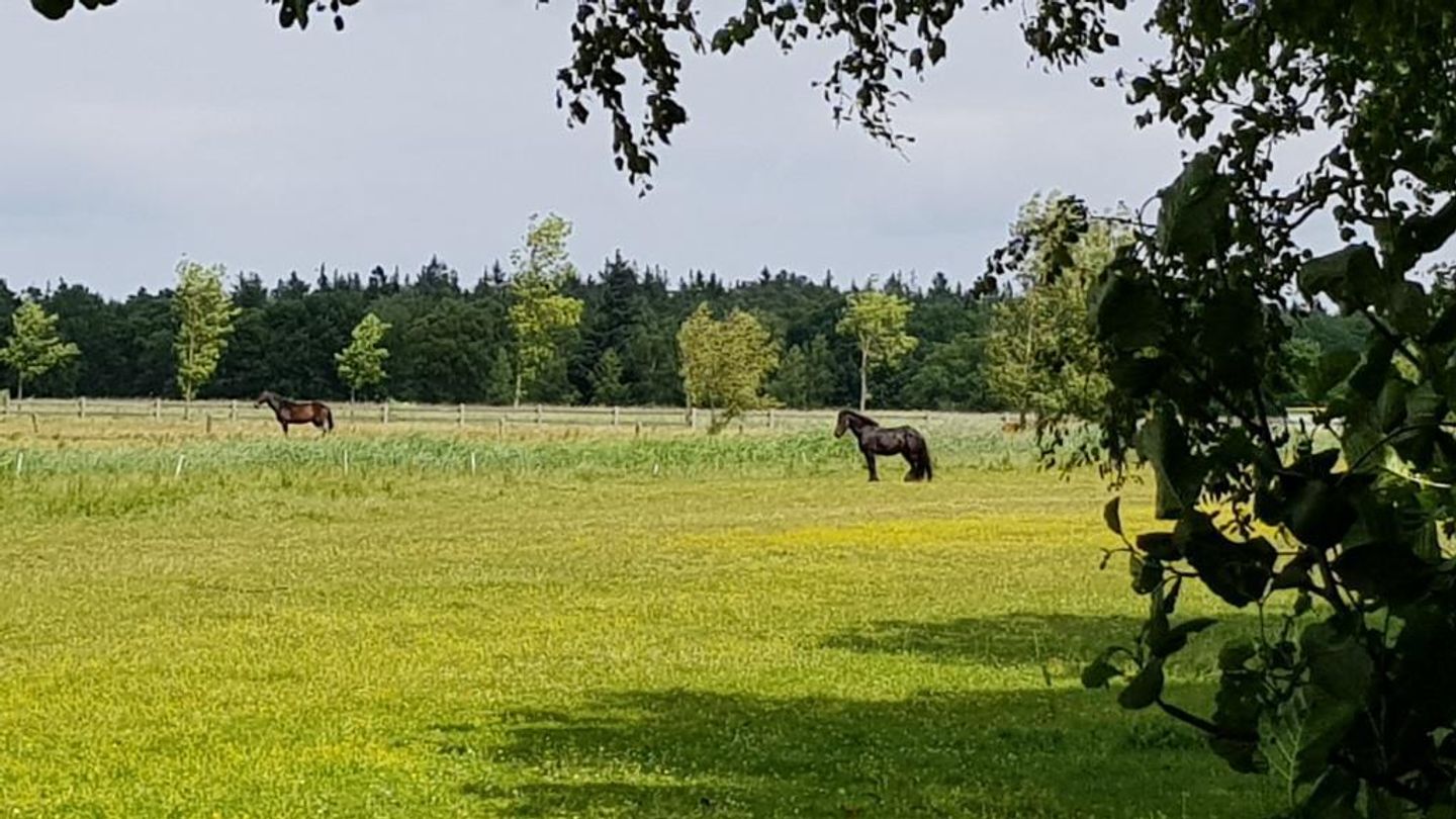  Dorfstr. OT Müggenburg 18a Deutschland - 