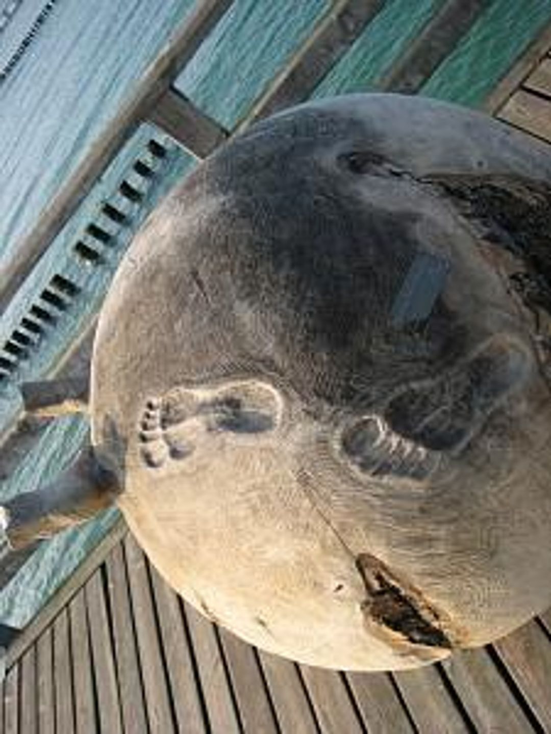  Strandstrasse 51 Whg. 10 Deutschland - 