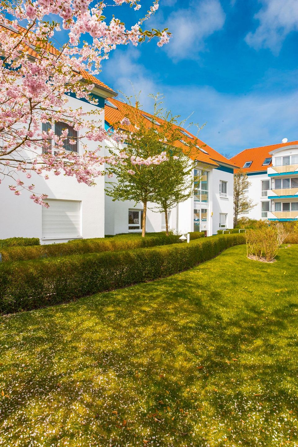  Darßer Weg 31a Whg. 47 Deutschland - Gartenblick