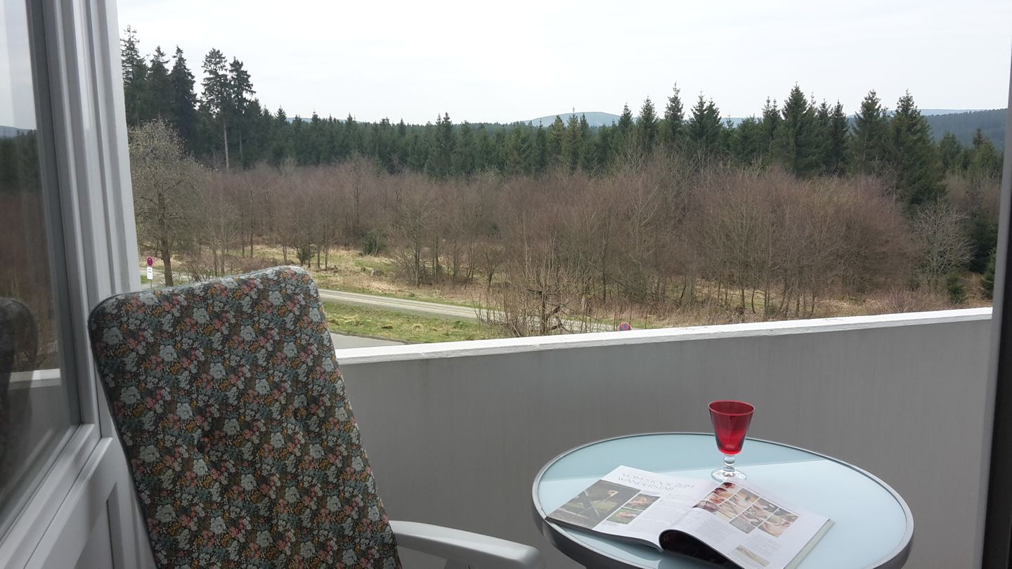 Ferienpark Hahnenklee Apartment "Mohnblume" Hahnenklee - Balkon