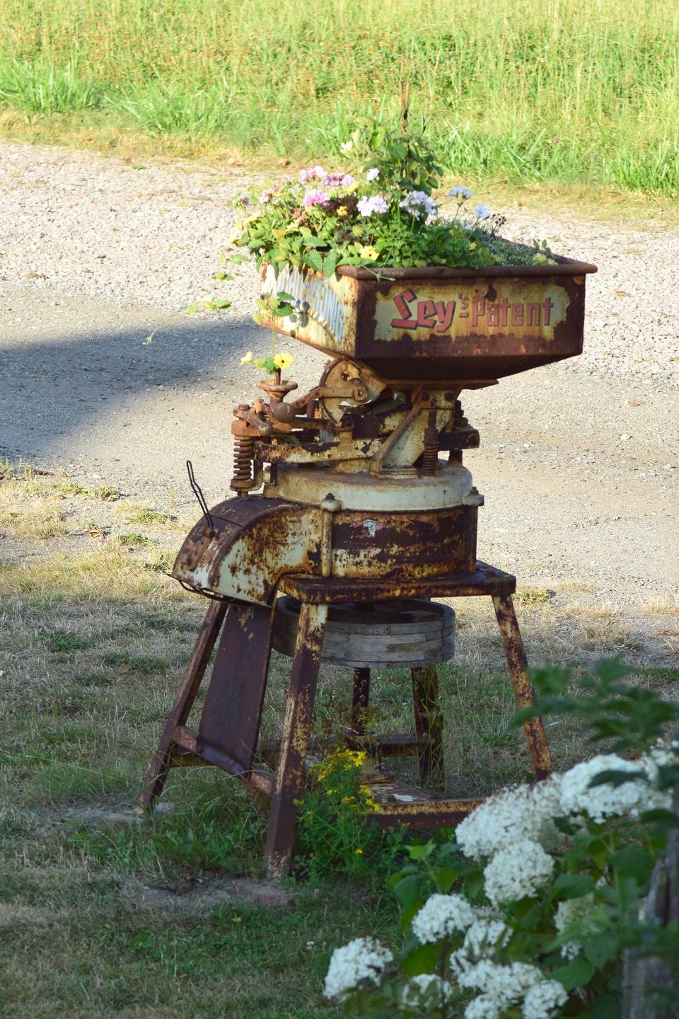 Kleine Schwalbe Kabelhorst - Dekoratives Detail