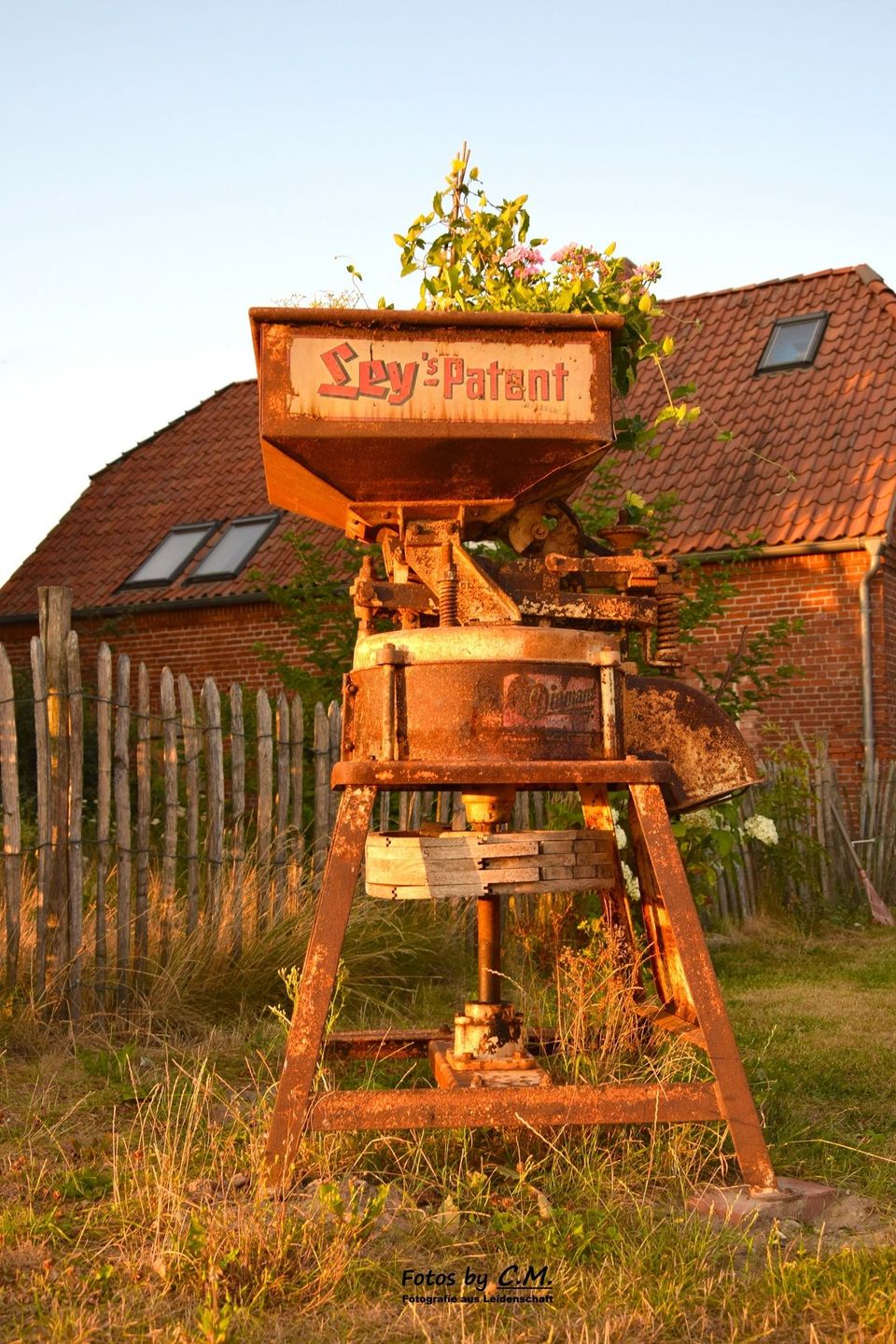 Kleine Schwalbe Kabelhorst - Dekoratives Detail