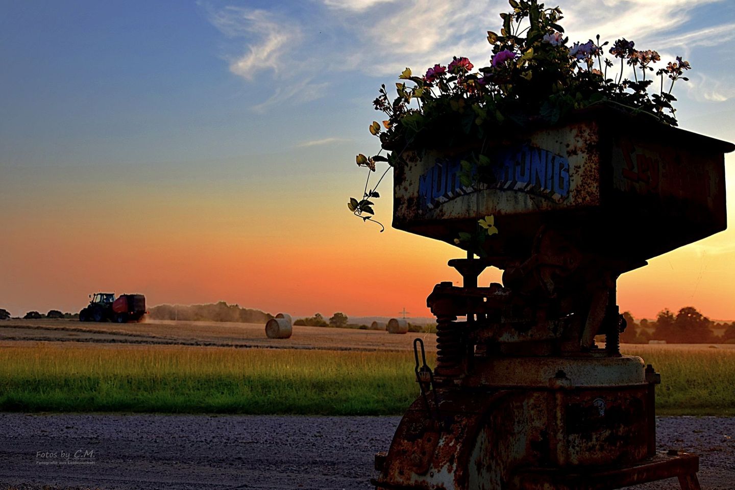 Kleine Schwalbe Kabelhorst - Dekoratives Detail