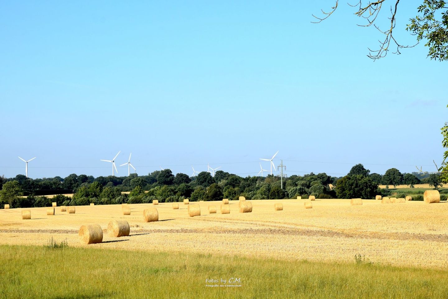 Kleine Schwalbe Kabelhorst - Landschaft