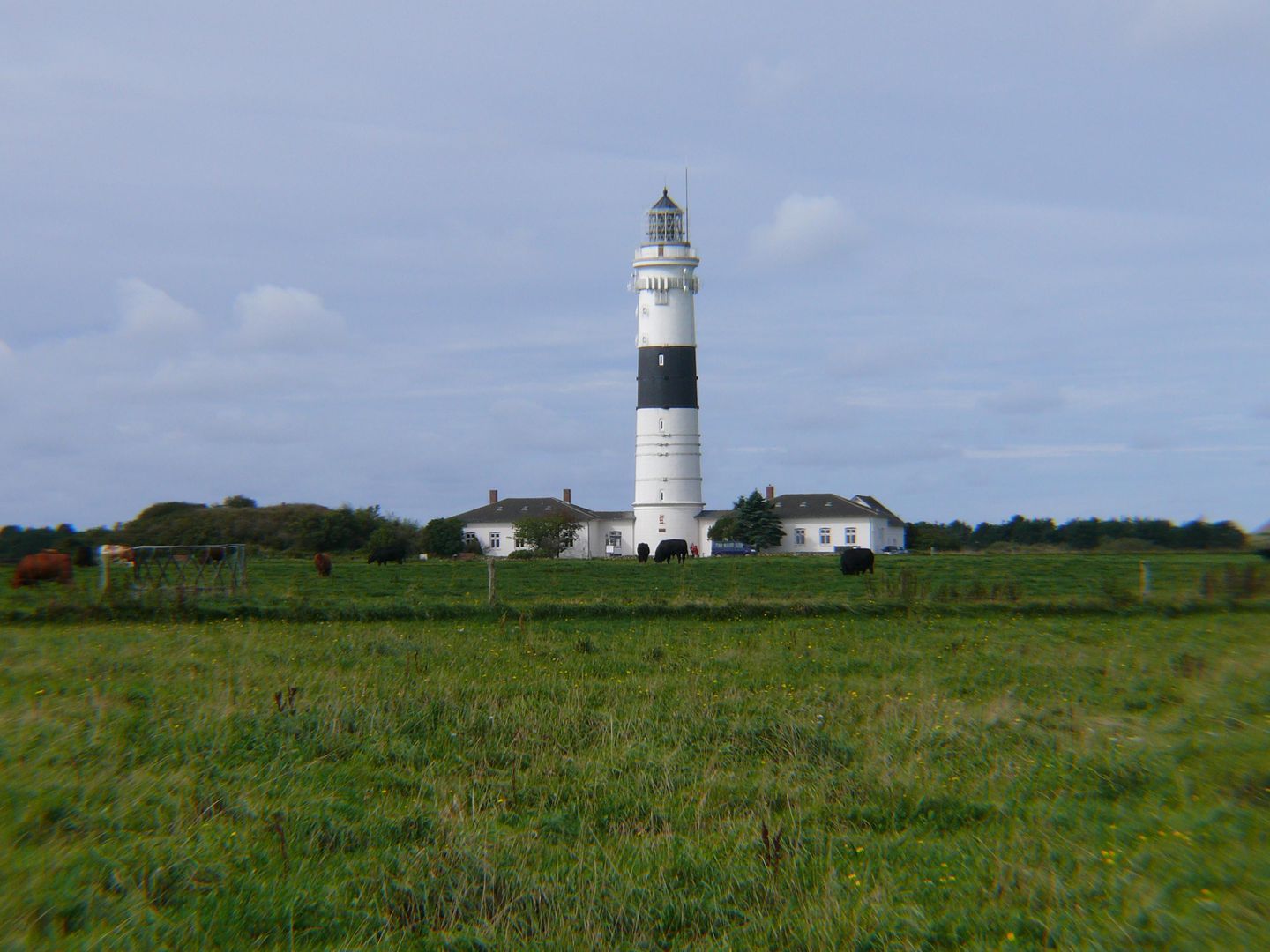Haus Nordseeresidenz Wohnung 67 Westerland - Landschaft
