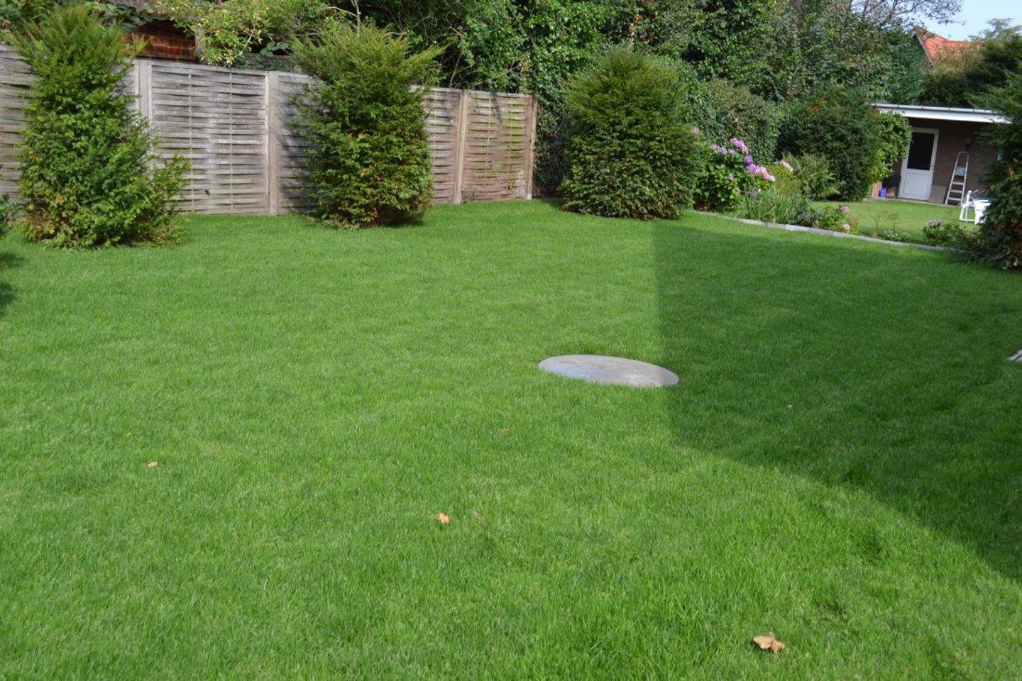  Ferienhaus Harmonie Wyk - Garten