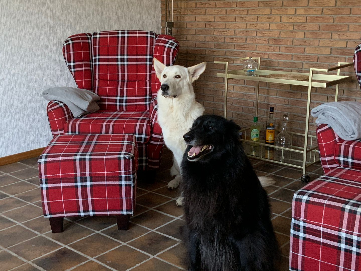  Ostfreesenhuus Vier Pfoten Marienhafe - 