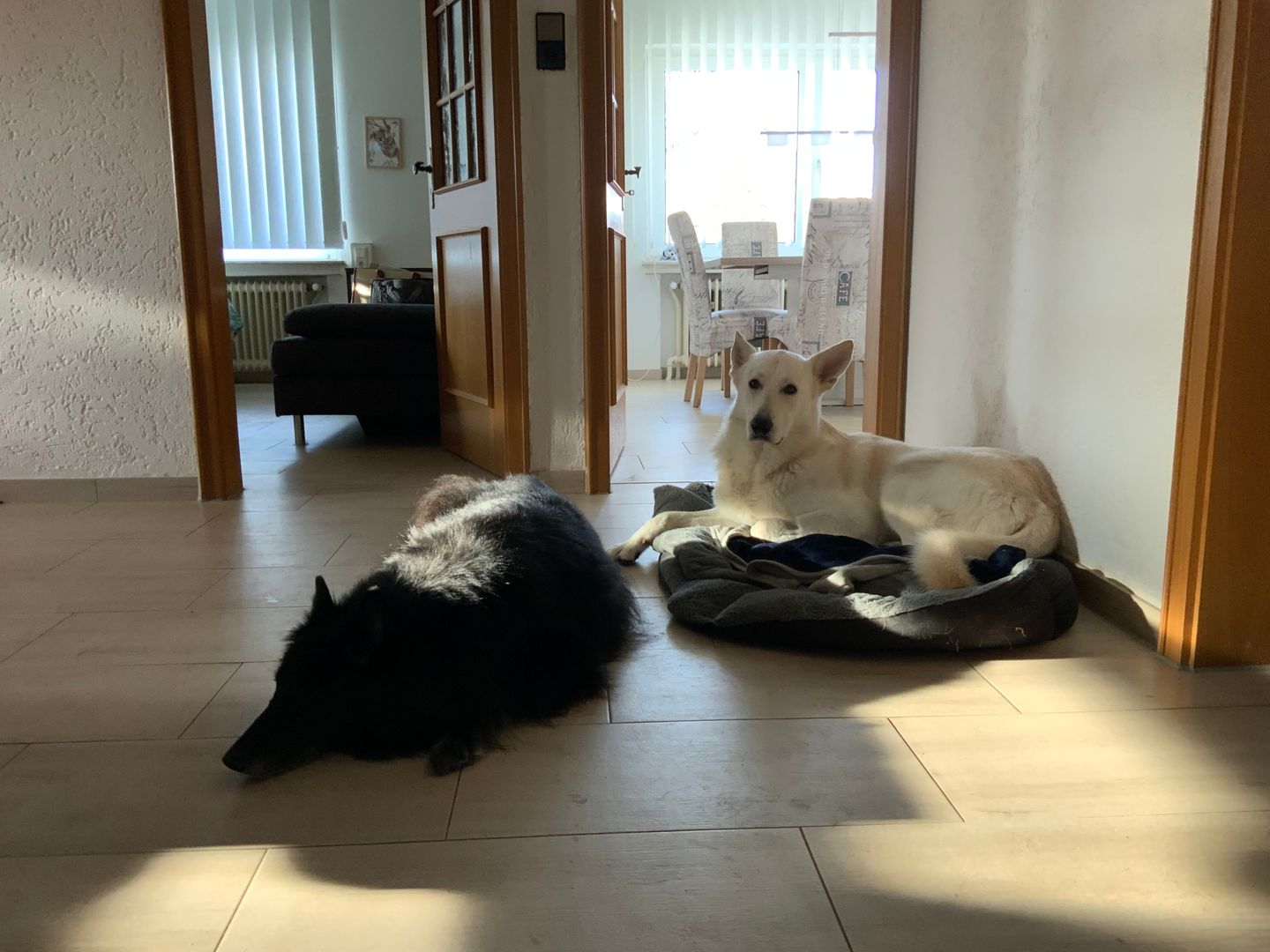  Ostfreesenhuus Vier Pfoten Marienhafe - 