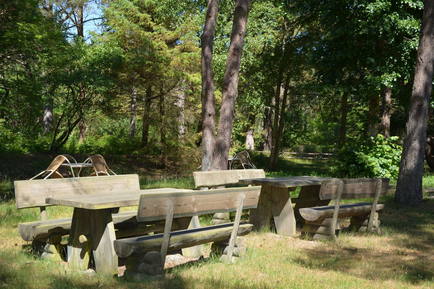 Haus Dünenrose Gemütliche kleine Ferienwohnung für 2 Personen am Waldrand Nebel auf Amrum - 