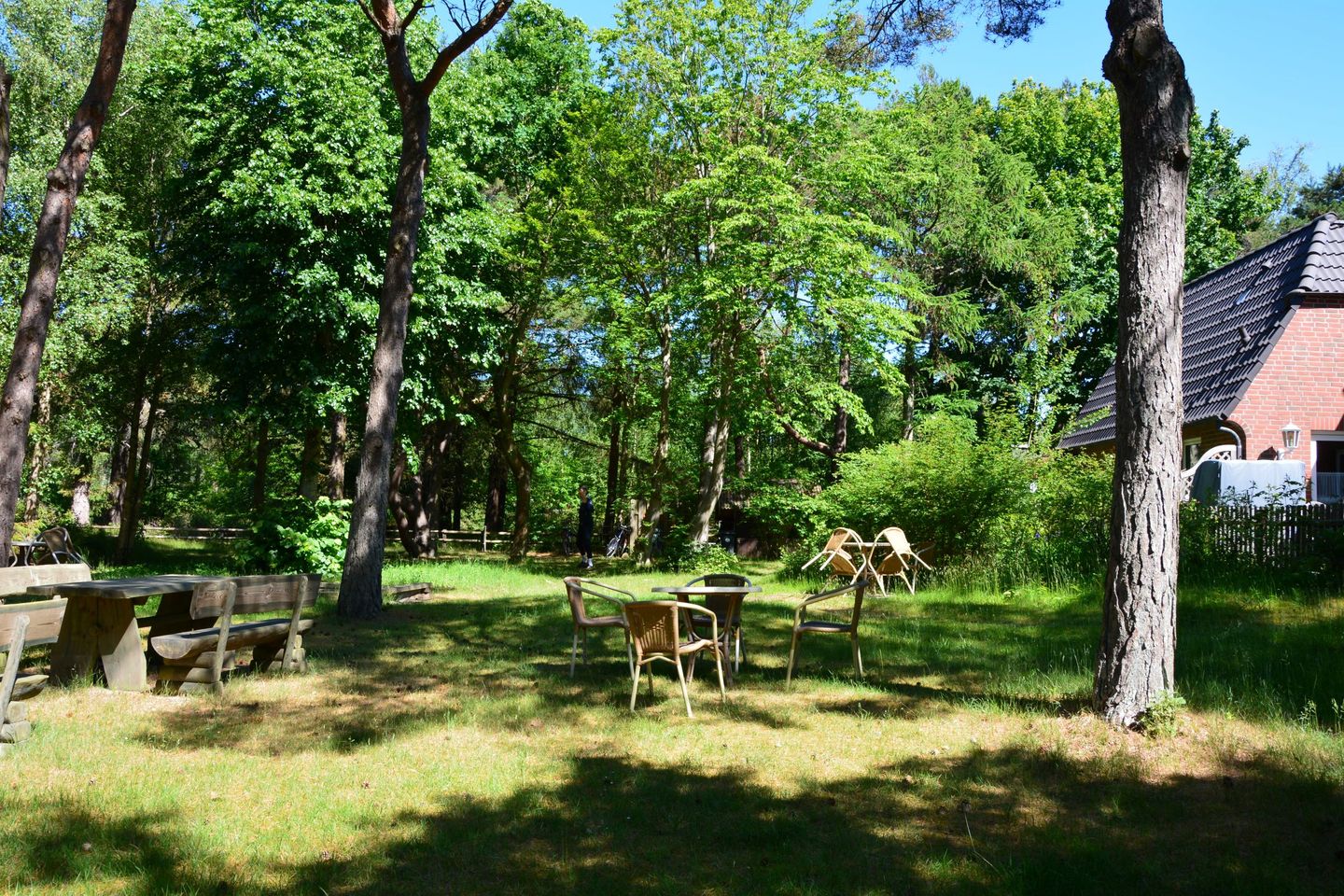 Haus Dünenrose Gemütliche kleine Ferienwohnung für 2 Personen am Waldrand Nebel auf Amrum - 