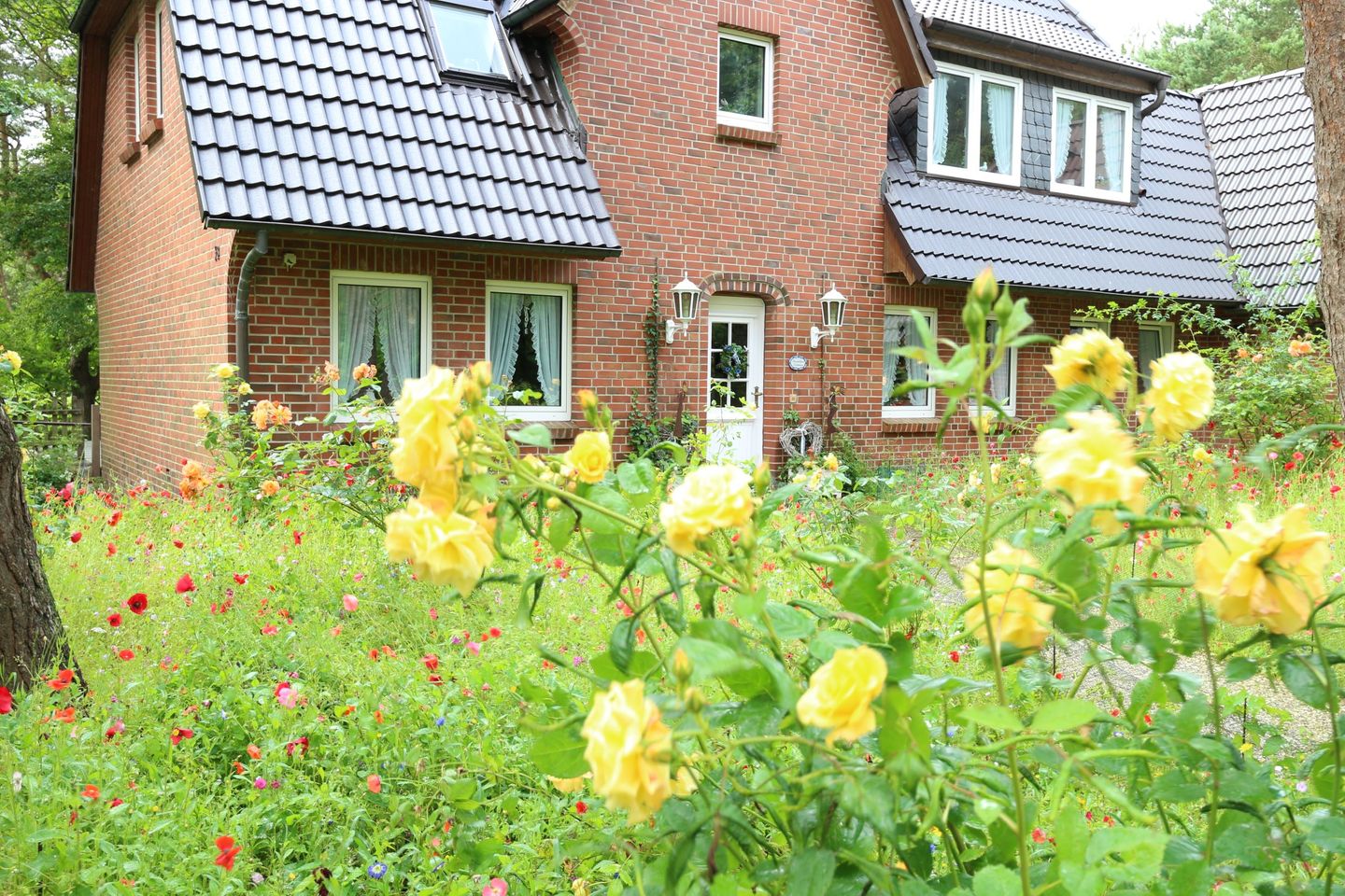 Haus Dünenrose Gemütliche kleine Ferienwohnung für 2 Personen am Waldrand Nebel auf Amrum - 