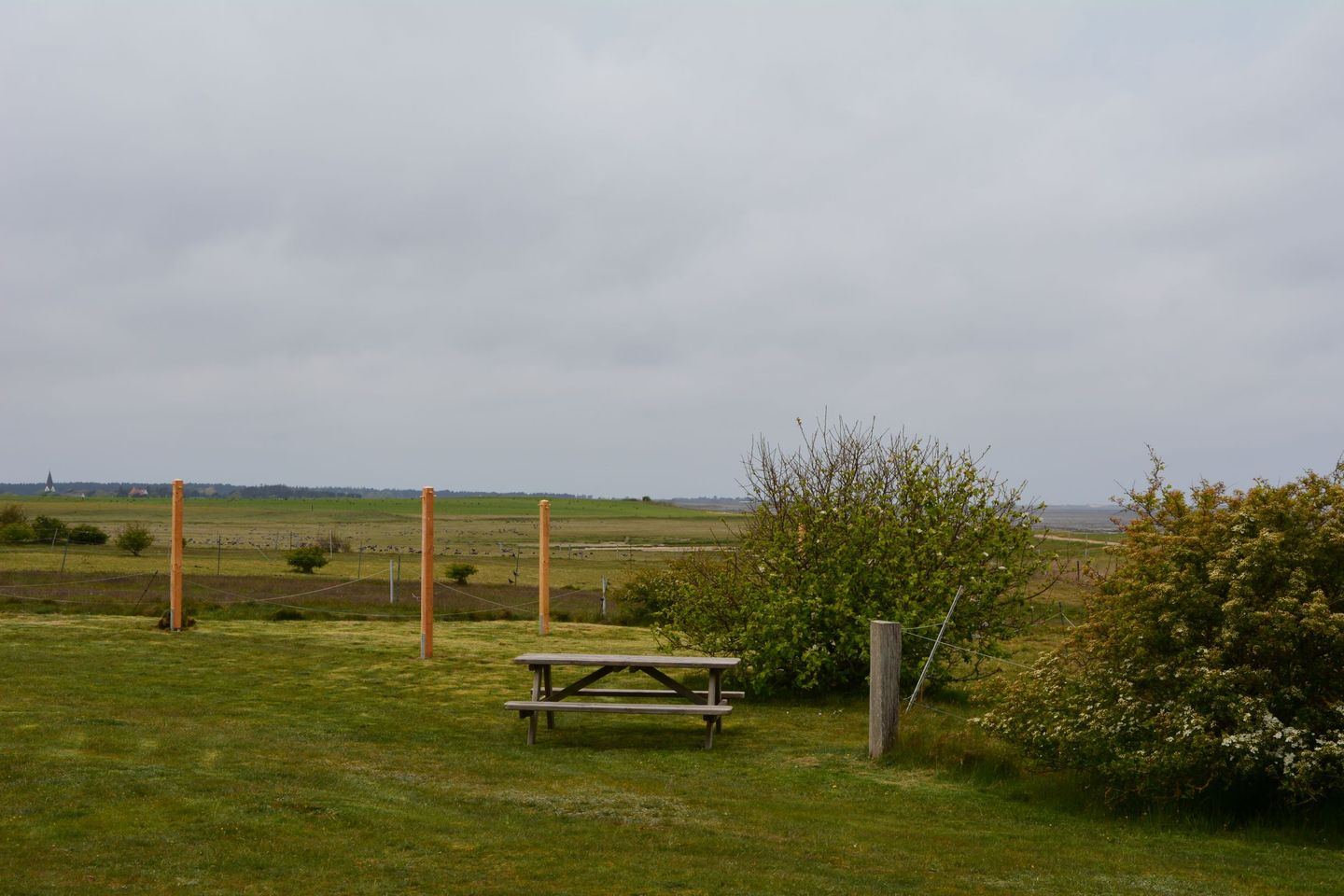 Haus Waasfrees Ferienwohnung Oland mit einmaliger Wattlage. Steenodde auf Amrum - 