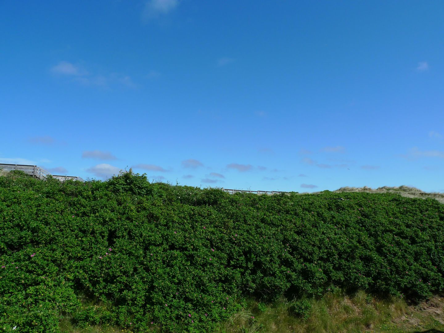  Sturmfried Nr. 15  B.-Bleeg-Str. 27 E Wenningstedt - 